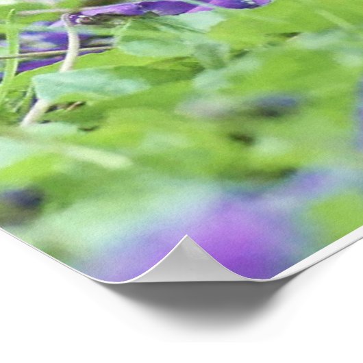 Wild Quail Poster (Ecke)