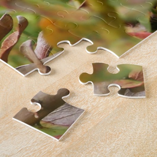 Wild Quail Puzzle (Seite)