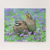Wild Quail Puzzle (Horizontal)