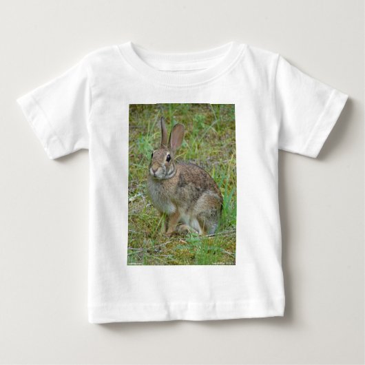Wild-Rabbit-Cottontail Apparel and Gifts Baby T-shirt (Vorderseite)