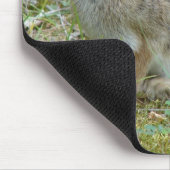 Wild-Rabbit-Cottontail Apparel and Gifts Mousepad (Ecke)
