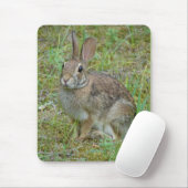 Wild-Rabbit-Cottontail Apparel and Gifts Mousepad (Mit Mouse)