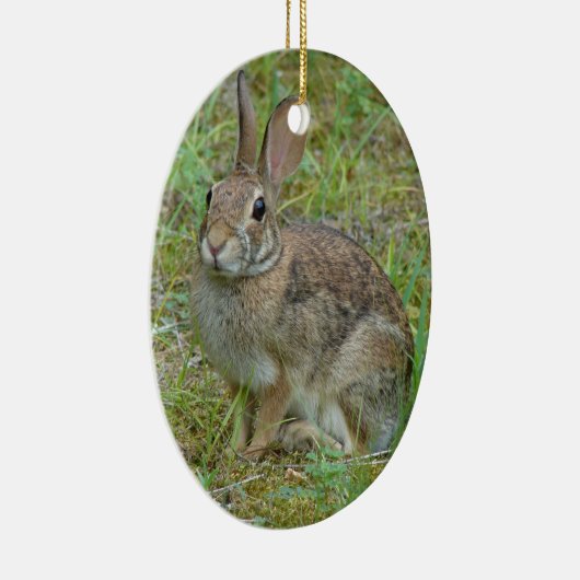 Wild Rabbit Eastern Cottontail Ornament (Rechts)