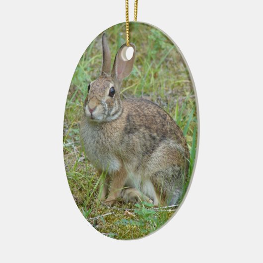 Wild Rabbit Eastern Cottontail Ornament (Links)