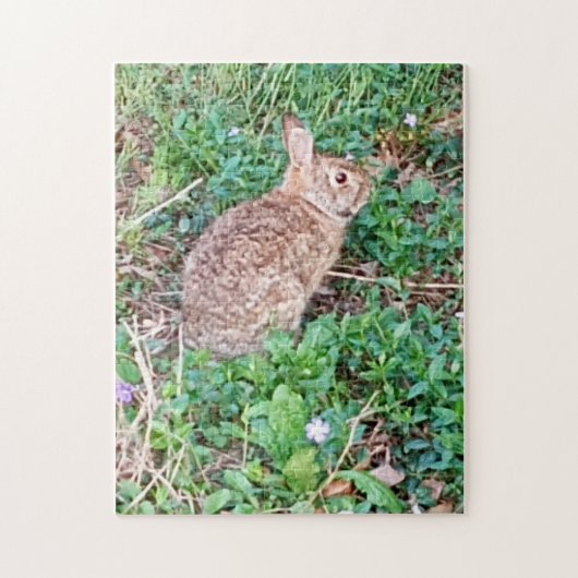 Wild Rabbit Puzzle  (Vertikal)