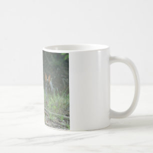Wild Rabbits Östliches Baumwollschwanzkaninchen Pa Kaffeetasse