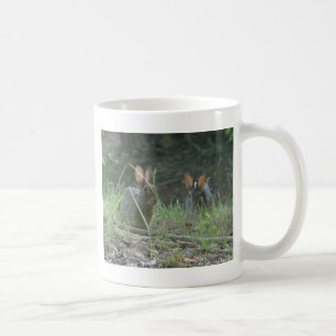 Wild Rabbits Östliches Baumwollschwanzkaninchen Pa Kaffeetasse