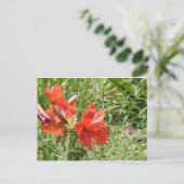 Wild Rain Lilies Postkarte (Stehend Vorderseite)