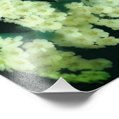 Wild Rambling White Roses 8x10 Fotodruck (Ecke)