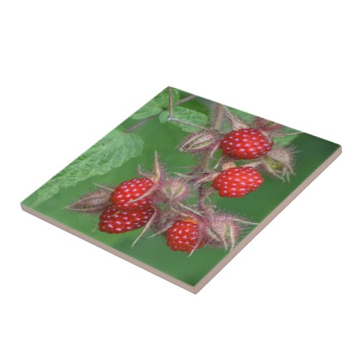 Wild Raspberry Tile Fliese (Seite)