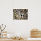 Wild Rat Field Trip Print Poster (Küche)