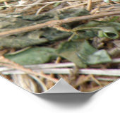 Wild Rat Field Trip Print Poster (Ecke)