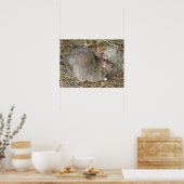 Wild Rat Print Poster (Küche)