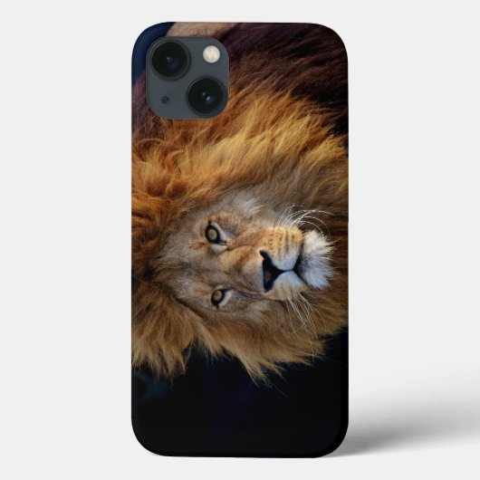 Wild Raubtier Löwe mit Mane Case-Mate iPhone Hülle (Rückseite)