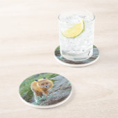 Wild Red Fox Vixen Wildlife Foto Art Untersetzer (Seite)