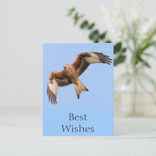 Wild Red Kites Postkarte (Stehend Vorderseite)