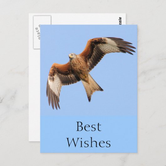 Wild Red Kites Postkarte (Vorne/Hinten)