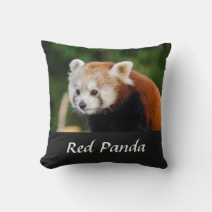 Wild Red Panda Nature Foto Kissen