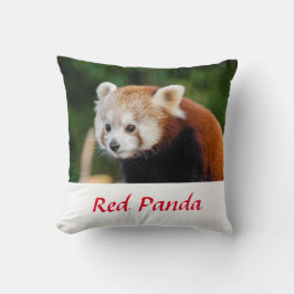 Wild Red Panda Nature Foto Kissen