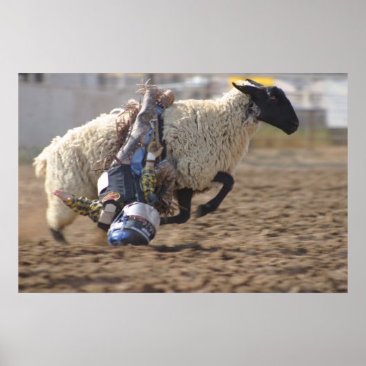 Wild Ride Poster (Vorne)