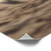 Wild Ride Poster (Ecke)