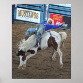 Wild Ride - Reno Rodeo 2010 Poster (Vorne)