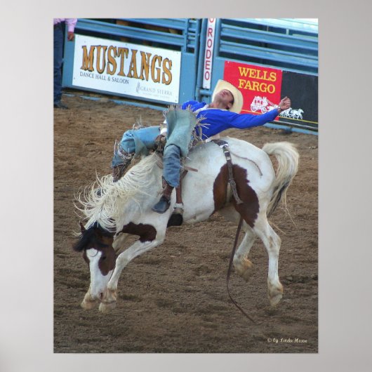 Wild Ride - Reno Rodeo 2010 Poster (Vorne)