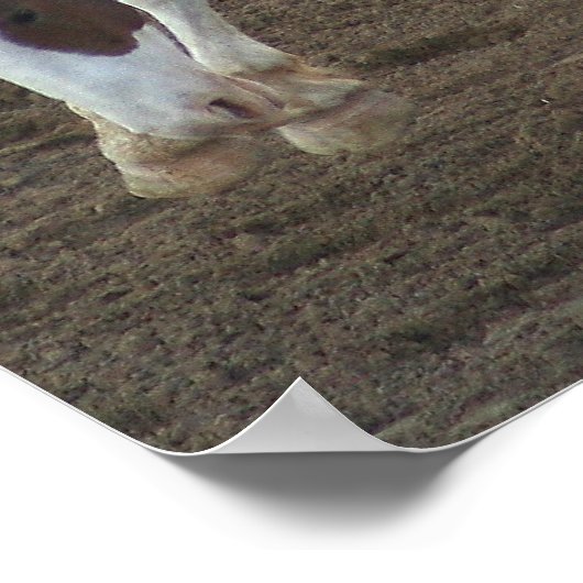 Wild Ride - Reno Rodeo 2010 Poster (Ecke)