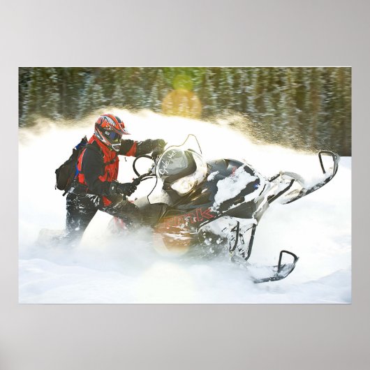 Wild Ride Snowmobile Print Poster (Vorne)