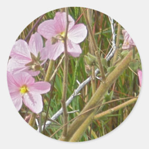 Wild rosa Hibiskus in Salzmarschen Runder Aufkleber