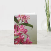 Wild rosa Honigsauckle Karte (Vorderseite)