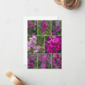 Wild rosa Pea Collage Mitteilungskarte (Vorderseite/Rückseite Beispiel)