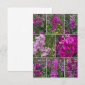 Wild rosa Pea Collage Mitteilungskarte (Vorne/Hinten)