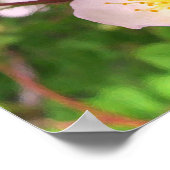 Wild rosa Rose Blume Poster (Ecke)