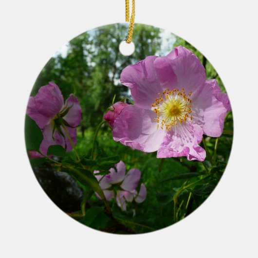 Wild rosa Rosen in Alaska Keramik Ornament (Vorne)