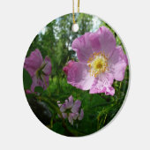 Wild rosa Rosen in Alaska Keramik Ornament (Links)