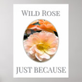 Wild Rose Bloom                                    Poster (Vorne)