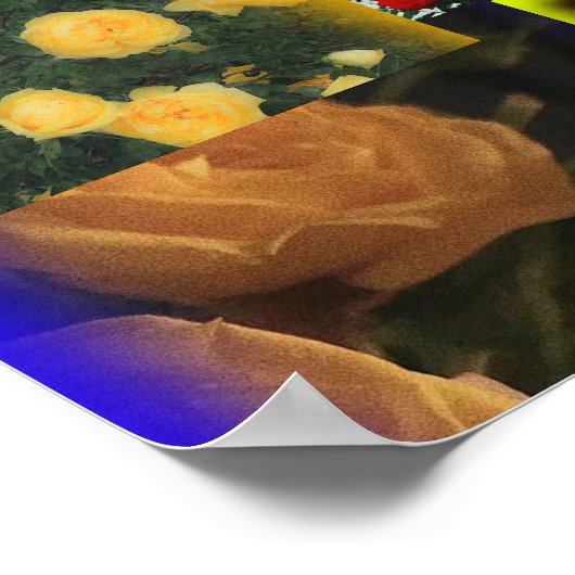 Wild Rose Collage Poster (Ecke)