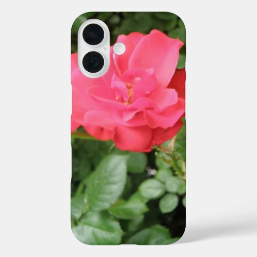Wild Rose iPhone Case (Rückseite)