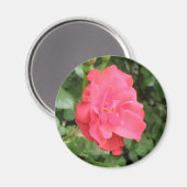 Wild Rose Magnet (Vorderseite/Rückseite)