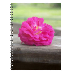 Wild Rose Notebook Notizblock