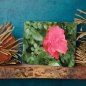 Wild Rose Plaque Fotoplatte (Seite)