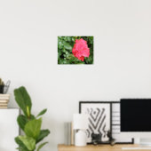 Wild Rose Poster (Heimbüro)
