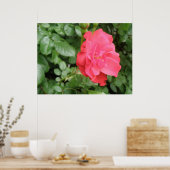 Wild Rose Poster (Küche)