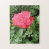 Wild Rose Puzzle (Vertikal)