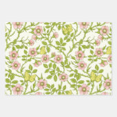 Wild roses and butterflies /pink/pale green/yellow geschenkpapier set (Vorderseite)