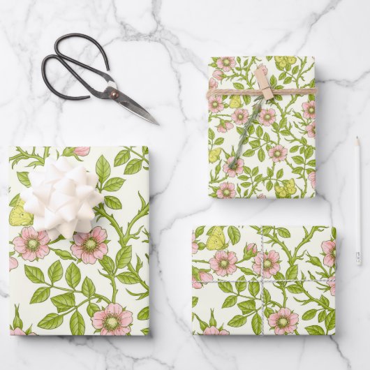 Wild roses and butterflies /pink/pale green/yellow geschenkpapier set (Vorderseite)