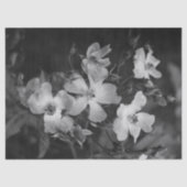 Wild roses  seidenpapier (Vorderseite)