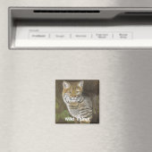 Wild Sache Bobcat Magnet (In Situ (Geschirrspüler))