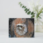 Wild Shiitake Mushroom auf Log Postkarte (Stehend Vorderseite)